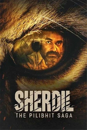 Sherdil: The Pilibhit Saga 2022 Dual Audio WEB-DL | Dubbed Hindi Movie